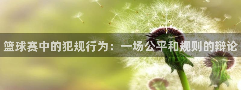  篮球赛中的犯规行为：一场公平和规则的辩论