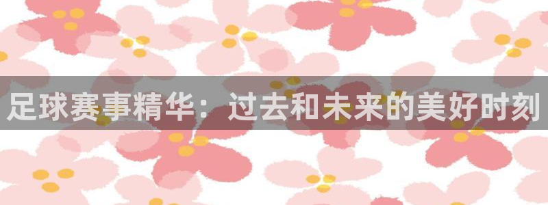 足球赛事精华：过去和未来的美好时刻