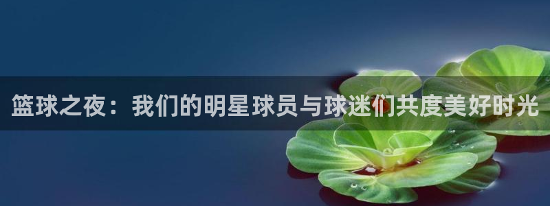 篮球之夜：我们的明星球员与球迷们共度美好时光