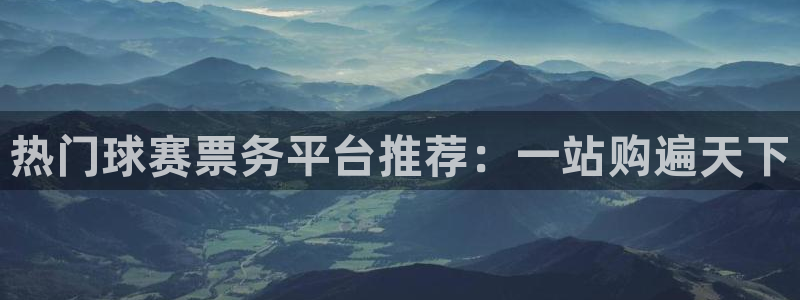 热门球赛票务平台推荐：一站购遍天下