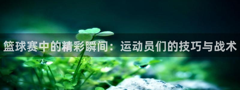  篮球赛中的精彩瞬间：运动员们的技巧与战术
