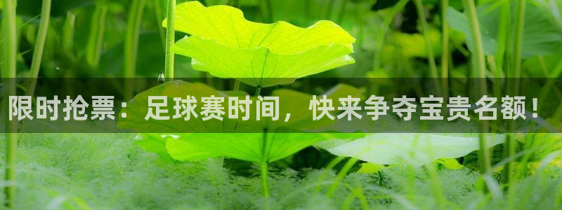 限时抢票：足球赛时间，快来争夺宝贵名额！
