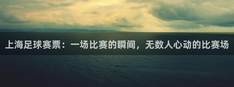 上海足球赛票：一场比赛的瞬间，无数人心动的比赛场