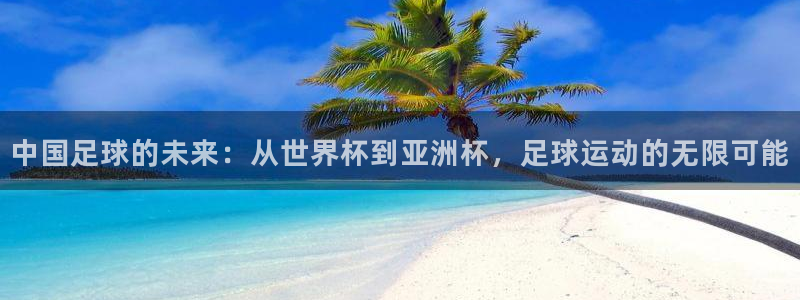  米兰体育：中国足球的未来：从世界杯到亚洲杯，足球运动的无限可