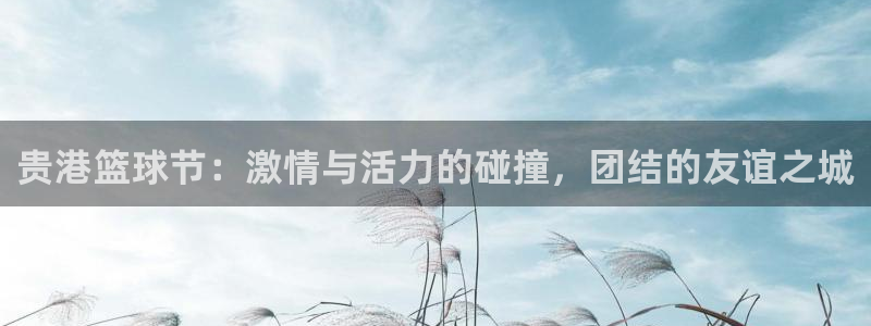 米兰体育网站：贵港篮球节：激情与活力的碰撞，团结的友谊之城