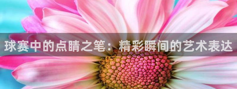  米兰体育中心哈希游戏：球赛中的点睛之笔：精彩瞬间的艺术表达