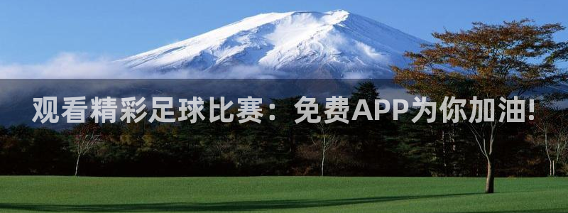  米兰体育入口：观看精彩足球比赛：免费APP为你加油!